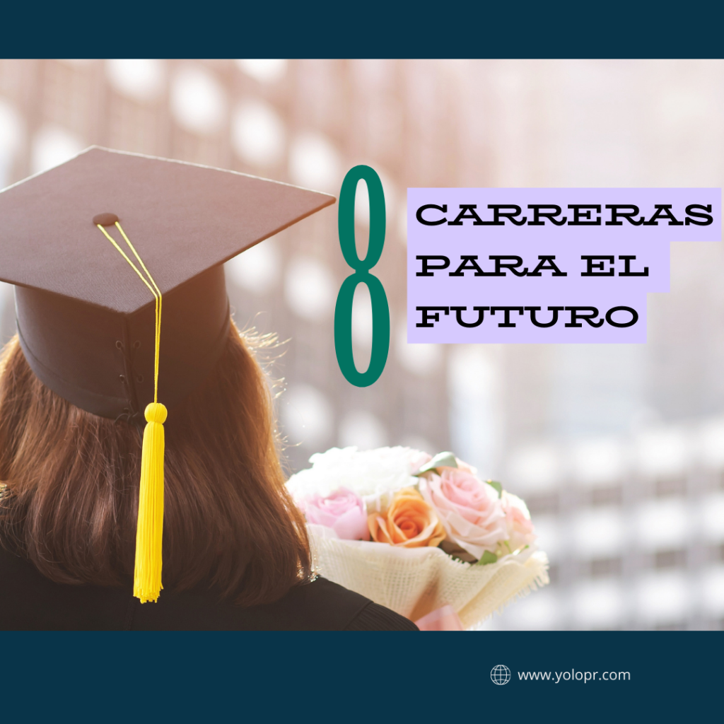 8 bachelors to study